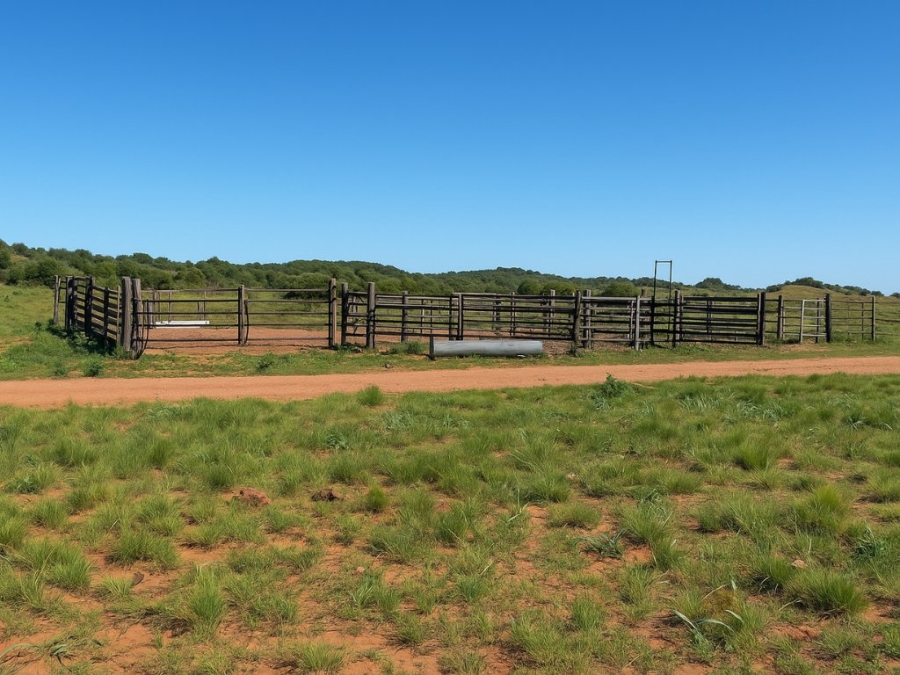 4 Bedroom Property for Sale in Bloemfontein Rural Free State